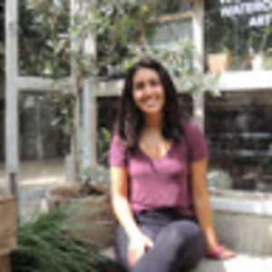 Meet your Posher, Sivan